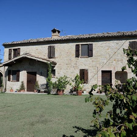 Cascinale La Mimosa Bed and Breakfast Cupramontana Εξωτερικό φωτογραφία