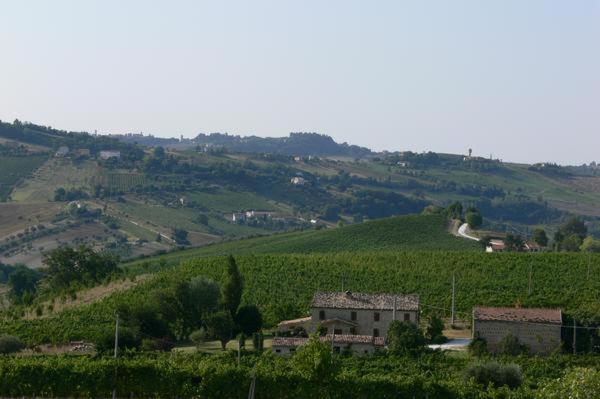 Cascinale La Mimosa Bed and Breakfast Cupramontana Εξωτερικό φωτογραφία