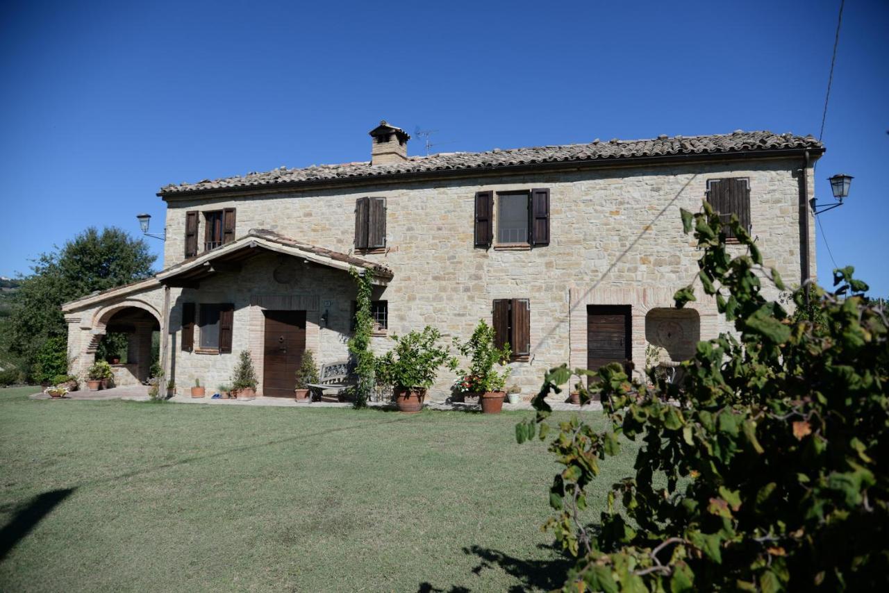 Cascinale La Mimosa Bed and Breakfast Cupramontana Εξωτερικό φωτογραφία