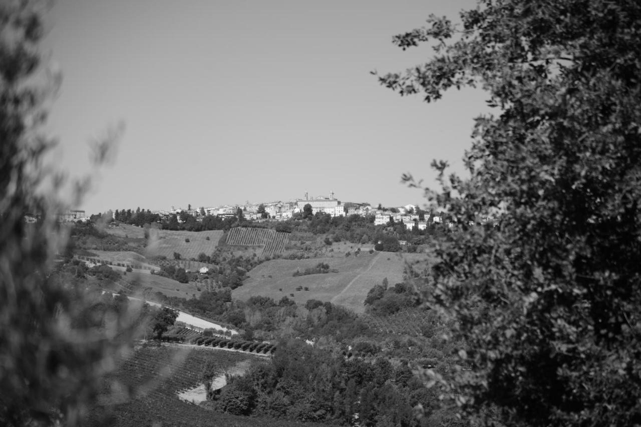 Cascinale La Mimosa Bed and Breakfast Cupramontana Εξωτερικό φωτογραφία