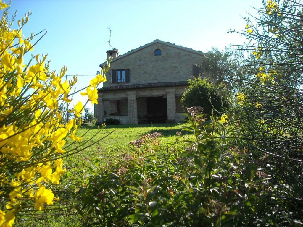 Cascinale La Mimosa Bed and Breakfast Cupramontana Εξωτερικό φωτογραφία